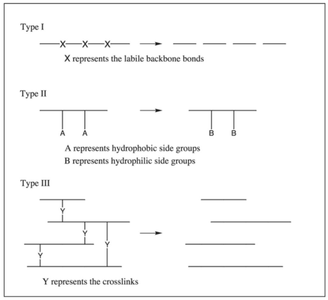 Polymer Chain Hydrolysis and Chemical Attack Mechanism