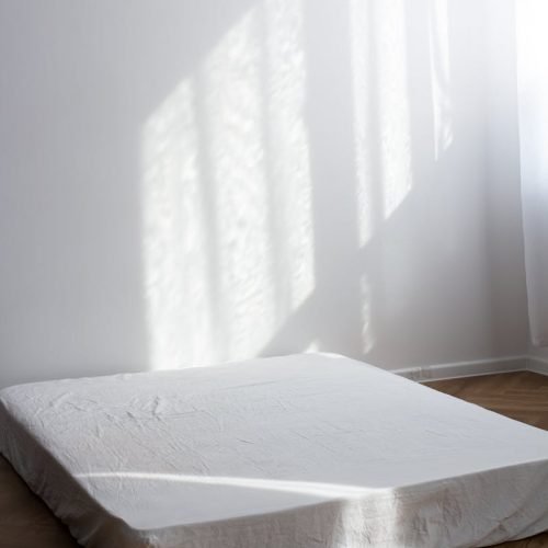 A serene minimalist room with a sunlit mattress on a wooden floor, perfect for peaceful decors.