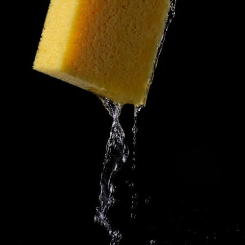 yellow cheese on white water